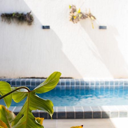 Casa Kayak - Villa Remo Milagres Piscina Privativa São Miguel dos Milagres Eksteriør bilde
